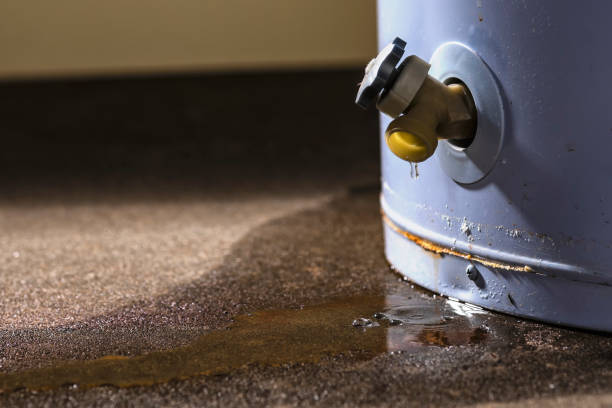 Best Residential water damage restoration  in Clemson University, SC