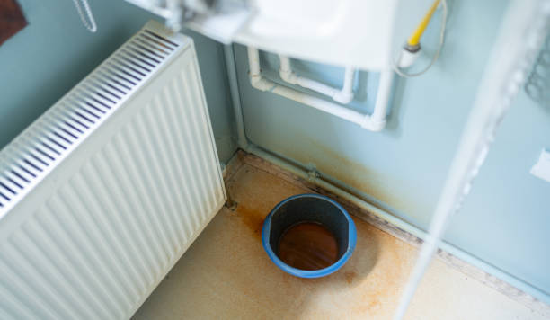 Best Water damage repair service  in Clemson University, SC